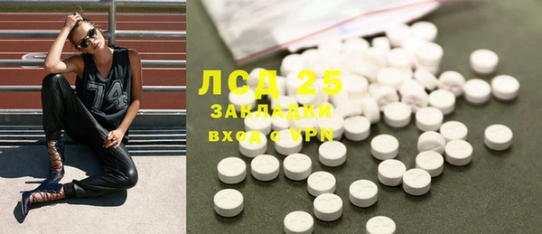 стафф Вязьма