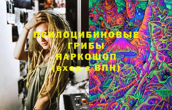 ПСИЛОЦИБИНОВЫЕ ГРИБЫ Вяземский