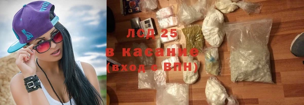 стафф Вязьма