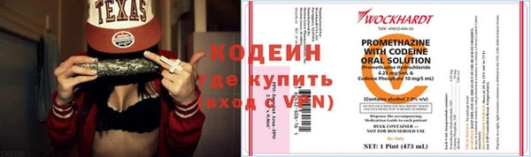 ПСИЛОЦИБИНОВЫЕ ГРИБЫ Вяземский