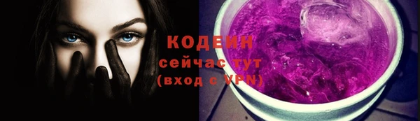 ПСИЛОЦИБИНОВЫЕ ГРИБЫ Вяземский