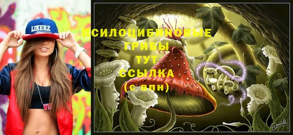 ПСИЛОЦИБИНОВЫЕ ГРИБЫ Вяземский