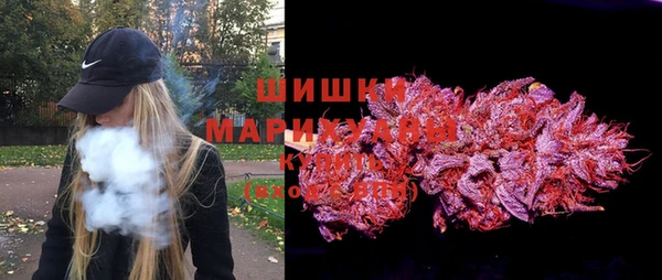 стафф Вязьма