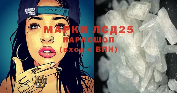 ПСИЛОЦИБИНОВЫЕ ГРИБЫ Вяземский