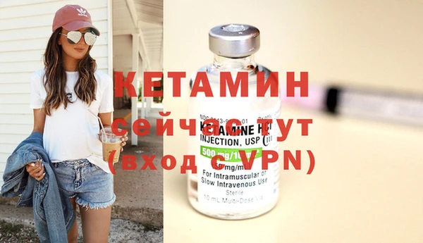 ПСИЛОЦИБИНОВЫЕ ГРИБЫ Вяземский