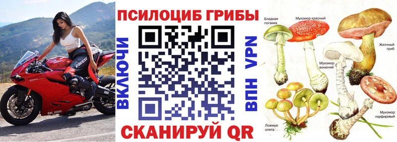 kraken зеркало  Невьянск  Галлюциногенные грибы MAGIC MUSHROOMS 